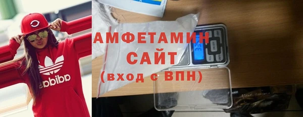 прущие грибы Вязники